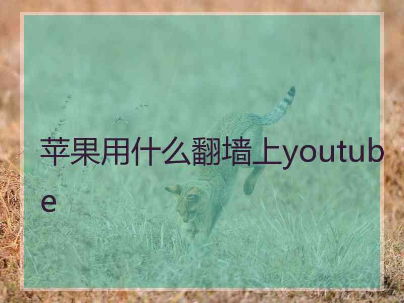 苹果用什么翻墙上youtube 苹果用什么翻墙上youtube