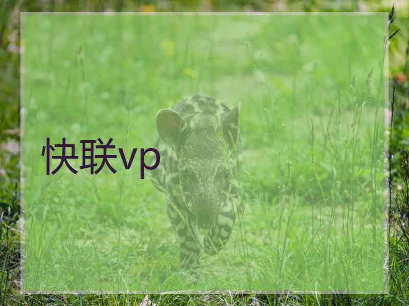 快联vp 快联vp