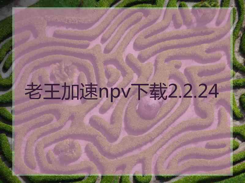 老王加速npv下载2.2.24 老王加速npv下载2.2.24