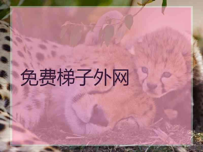 免费梯子外网 免费梯子外网