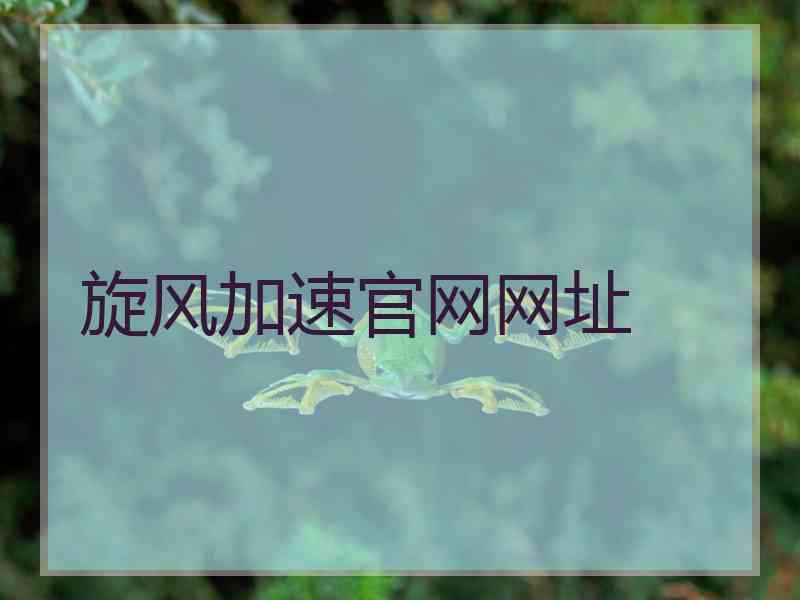 旋风加速官网网址 旋风加速官网网址