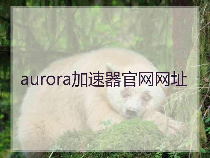 aurora加速器官网网址 aurora加速器官网网址