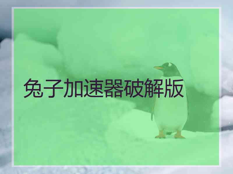 兔子加速器破解版 兔子加速器破解版