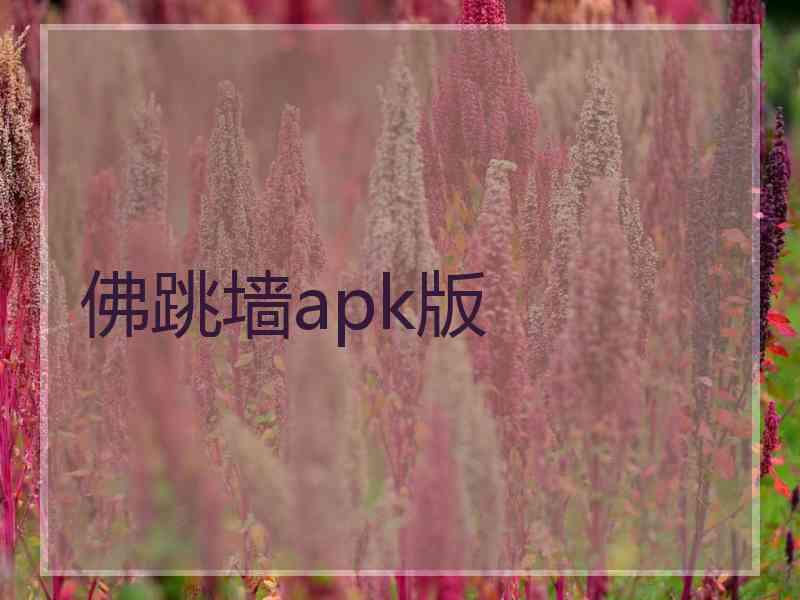 佛跳墙apk版 佛跳墙apk版