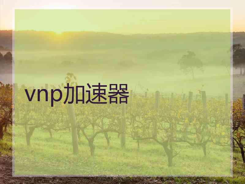 vnp加速器 vnp加速器