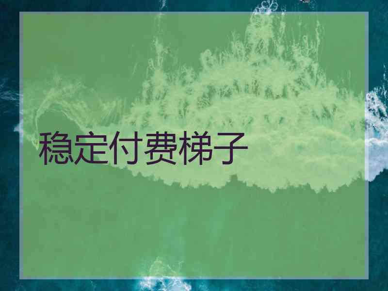 稳定付费梯子 稳定付费梯子
