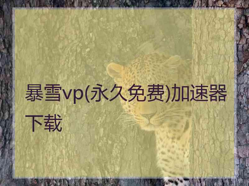 暴雪vp(永久免费)加速器下载 暴雪vp(永久免费)加速器下载