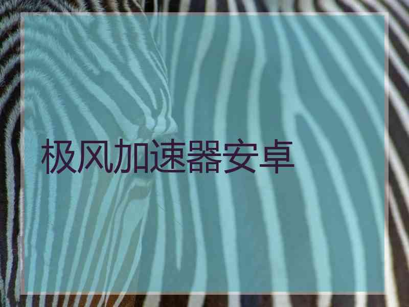极风加速器安卓 极风加速器安卓