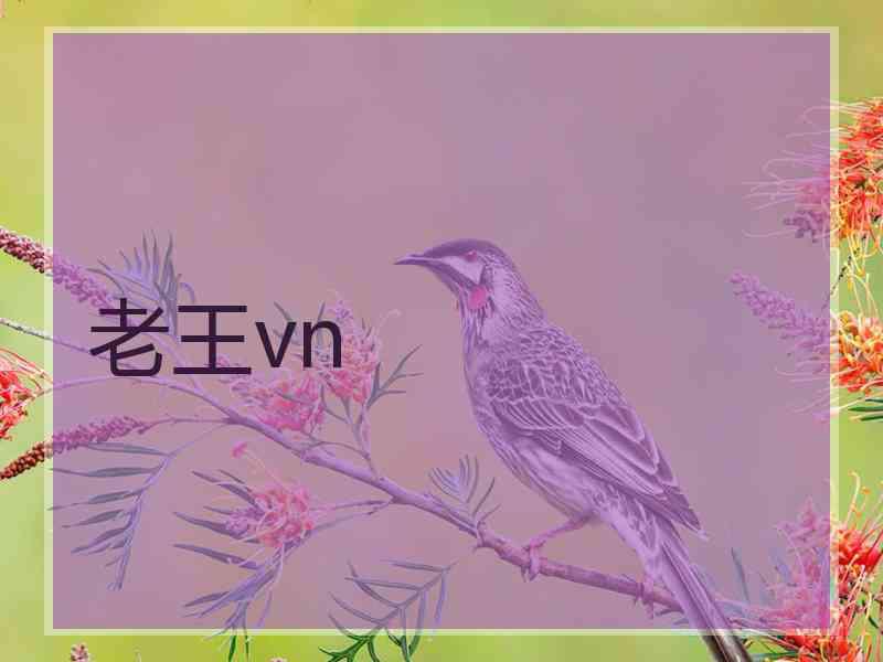 老王vn 老王vn