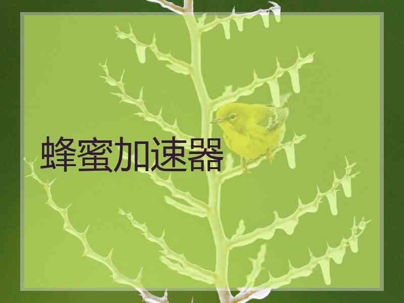 蜂蜜加速器 蜂蜜加速器