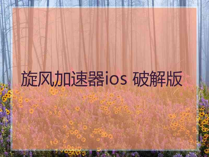 旋风加速器ios 破解版