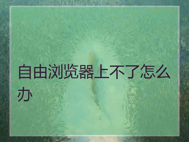 自由浏览器上不了怎么办