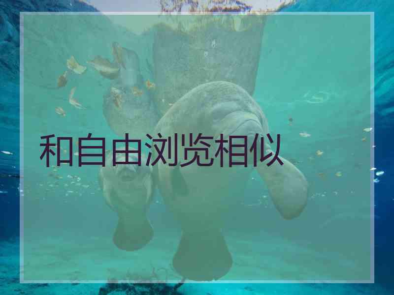 和自由浏览相似