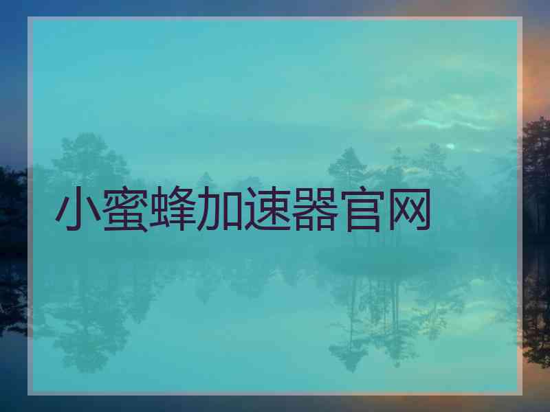 小蜜蜂加速器官网