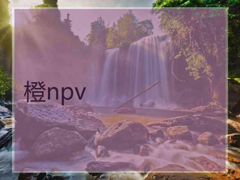 橙npv