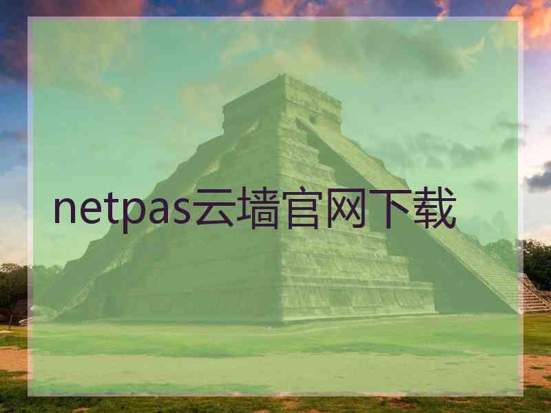 netpas云墙官网下载