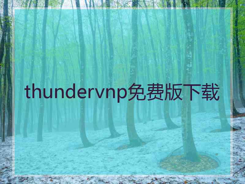 thundervnp免费版下载