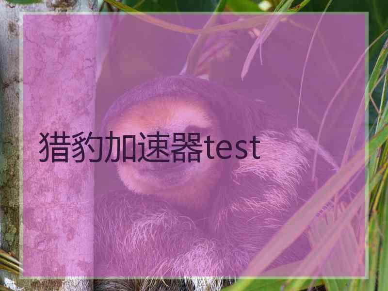 猎豹加速器test