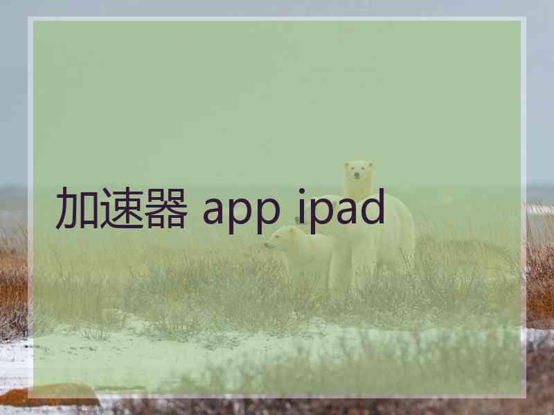 加速器 app ipad