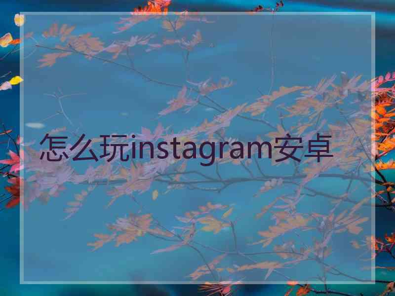 怎么玩instagram安卓