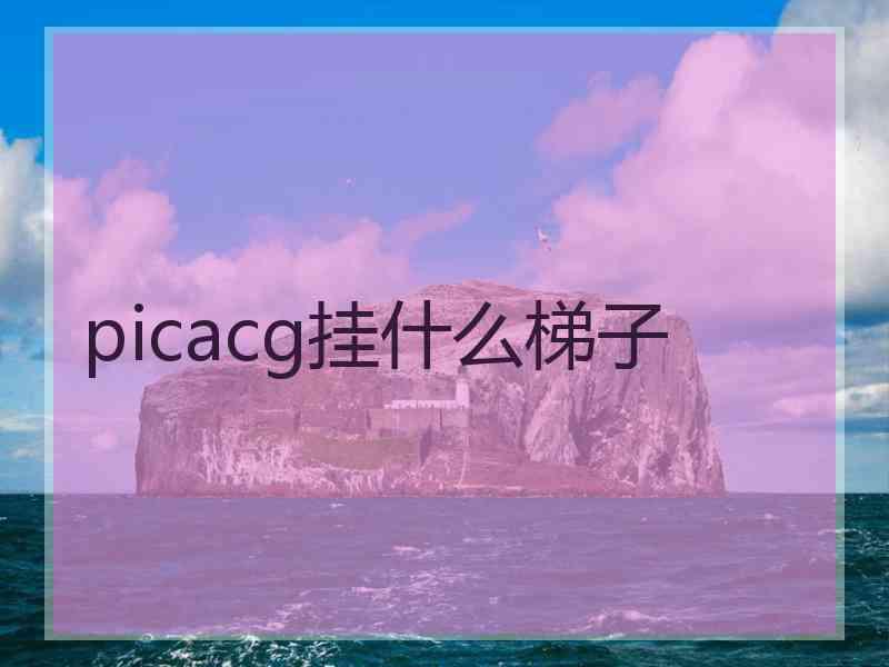 picacg挂什么梯子