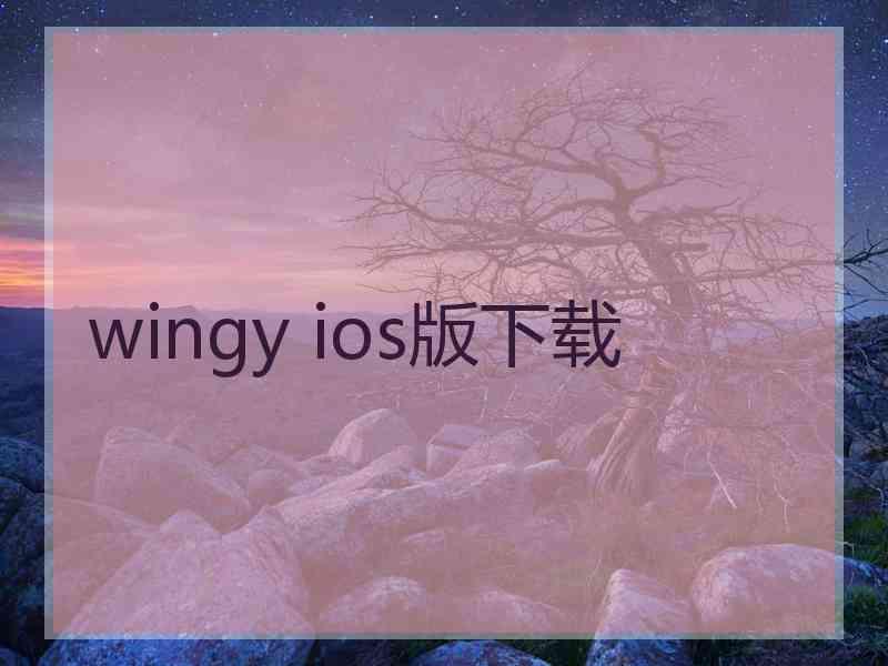 wingy ios版下载