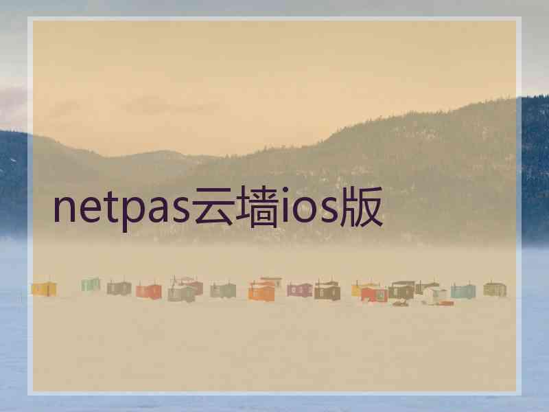 netpas云墙ios版