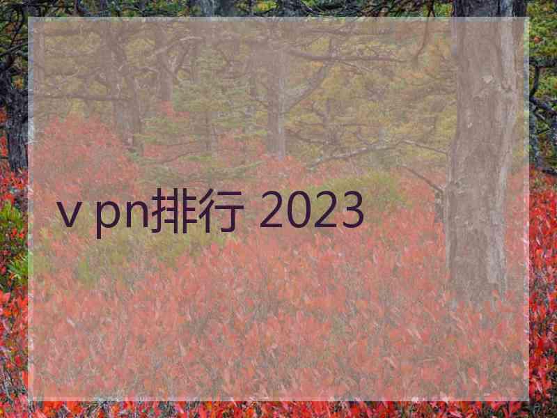 ⅴpn排行 2023