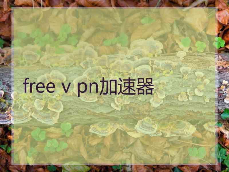 free v pn加速器