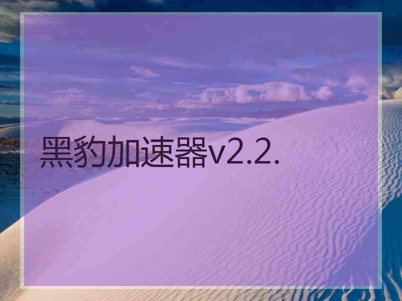 黑豹加速器v2.2.