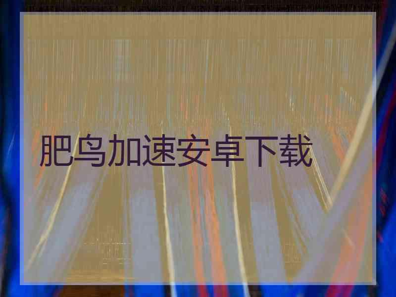 肥鸟加速安卓下载