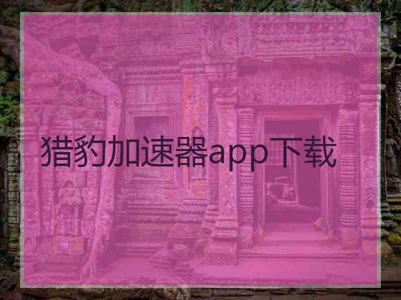 猎豹加速器app下载