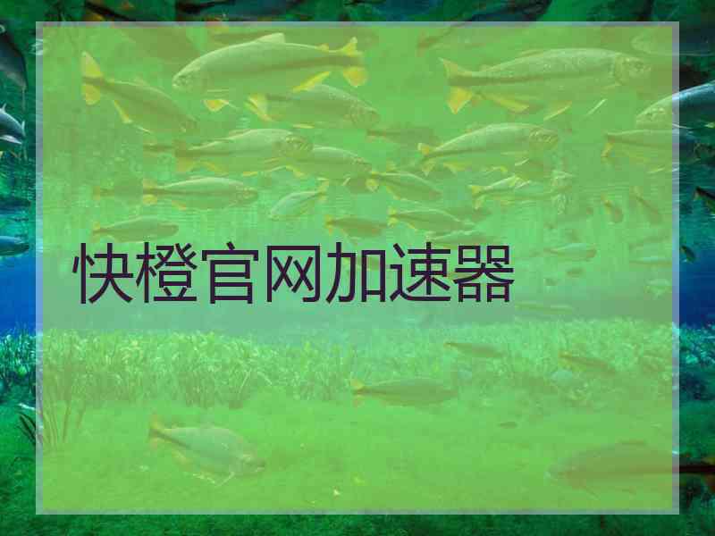 快橙官网加速器