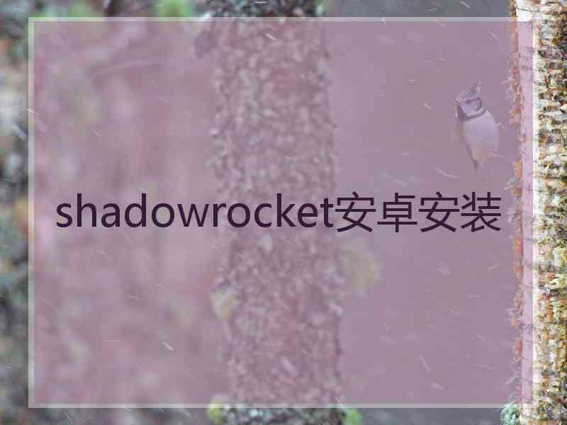 shadowrocket安卓安装