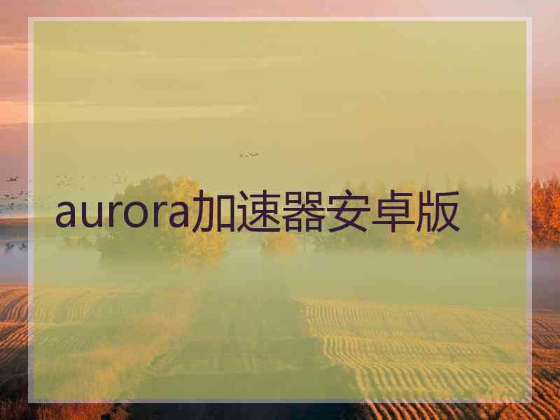 aurora加速器安卓版