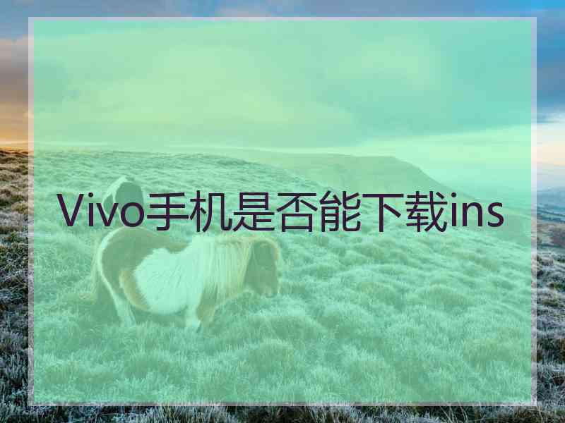 Vivo手机是否能下载ins