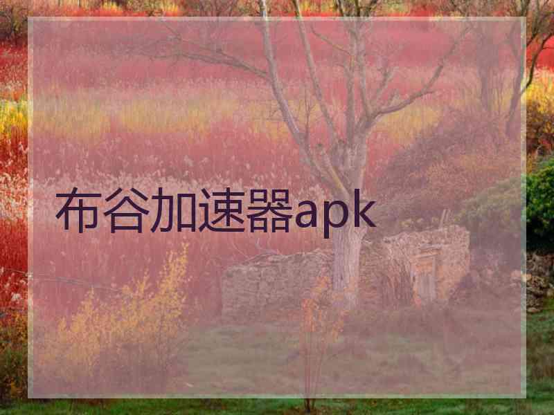 布谷加速器apk