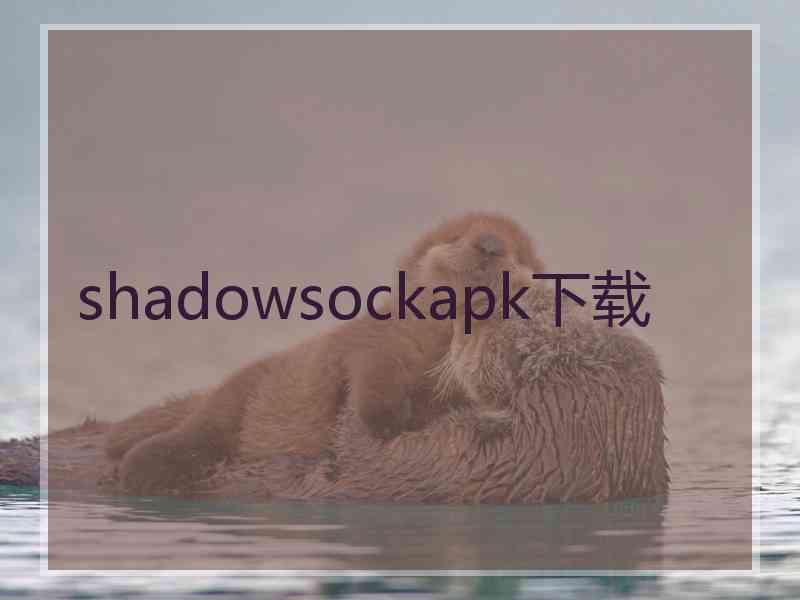 shadowsockapk下载