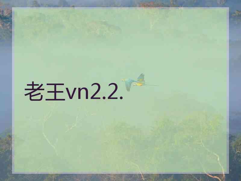 老王vn2.2.