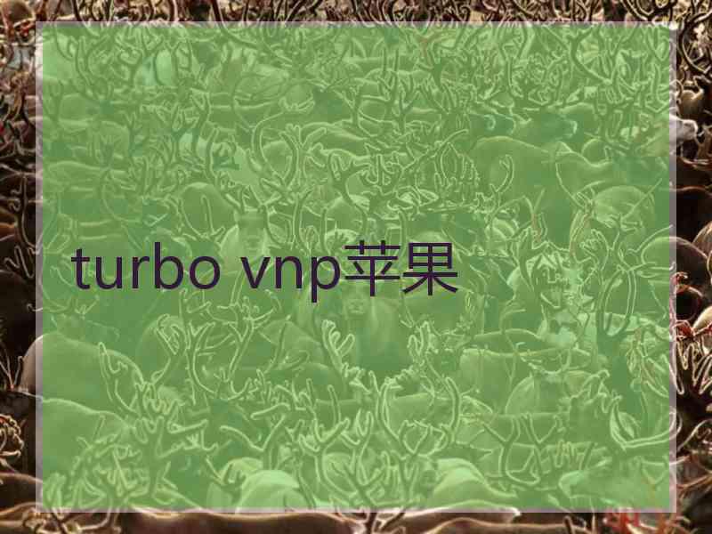 turbo vnp苹果