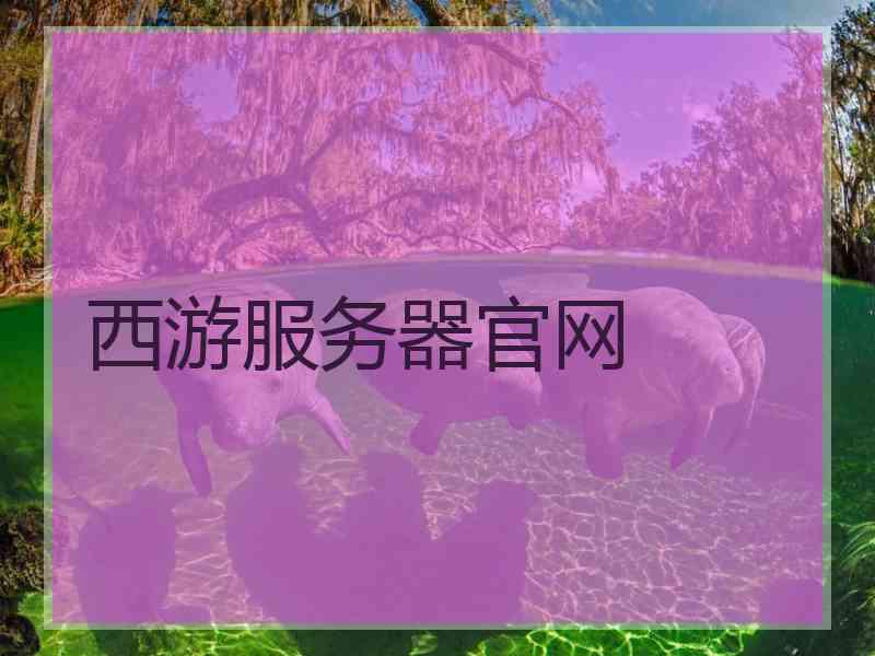 西游服务器官网