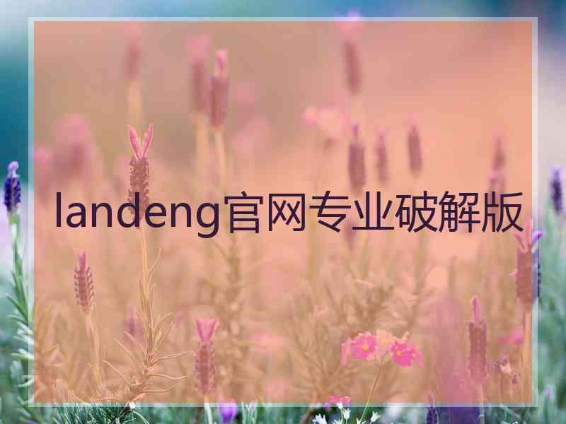 landeng官网专业破解版