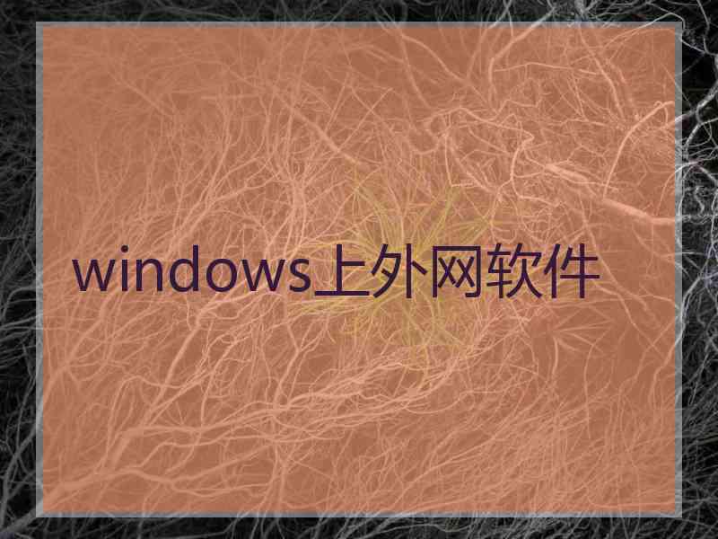 windows上外网软件