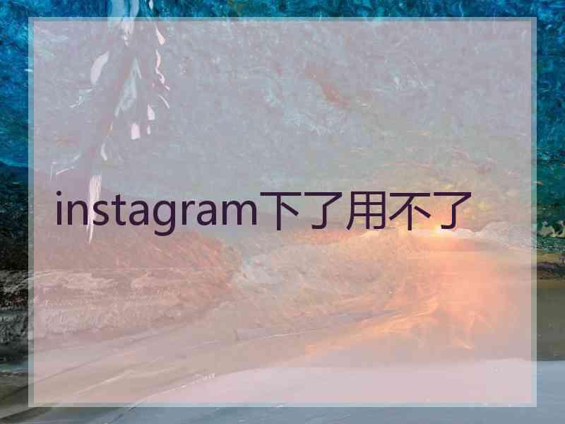 instagram下了用不了