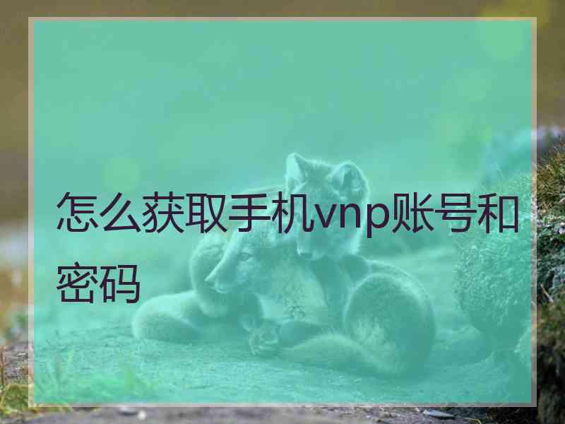 怎么获取手机vnp账号和密码