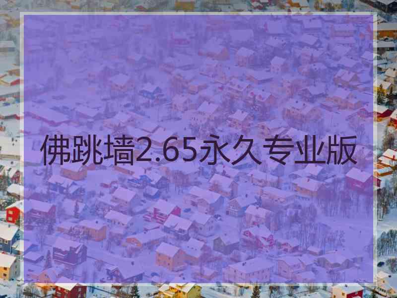 佛跳墙2.65永久专业版