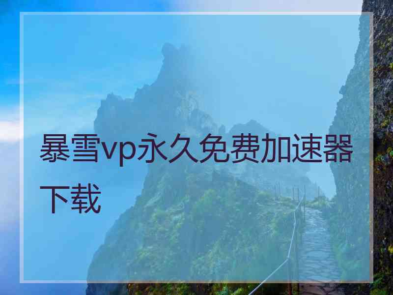 暴雪vp永久免费加速器下载