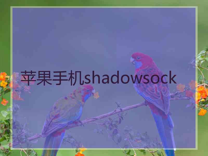 苹果手机shadowsock