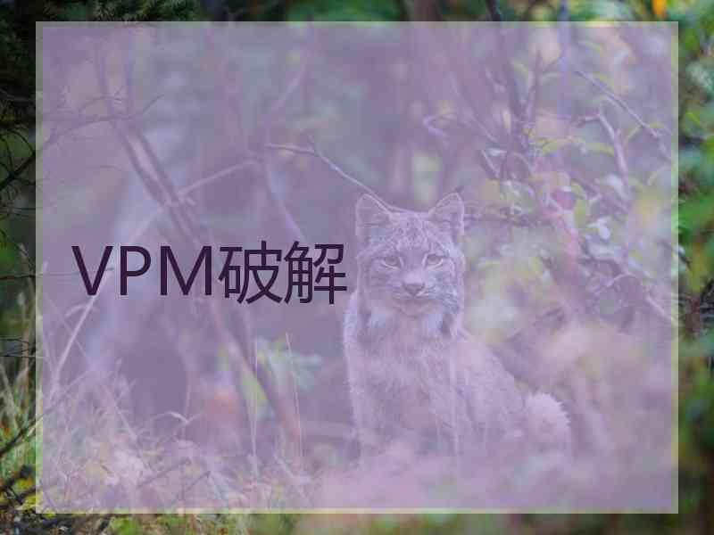 VPM破解