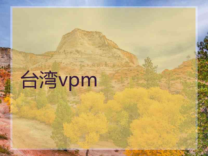 台湾vpm